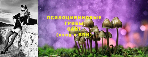 MDMA Premium VHQ Вяземский